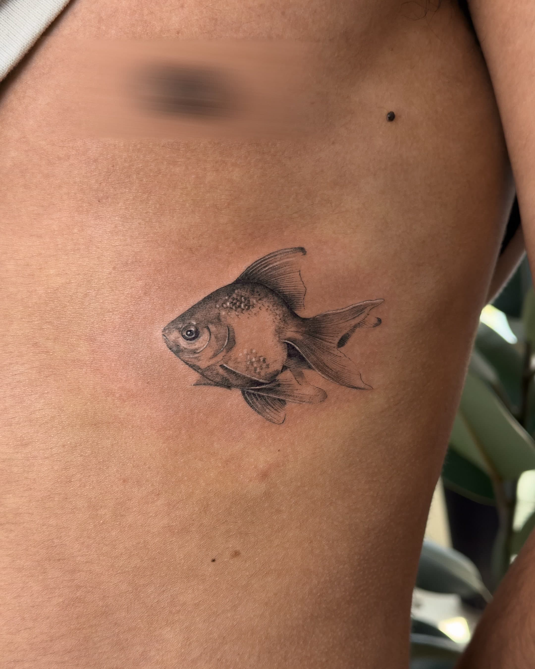 Alfonso